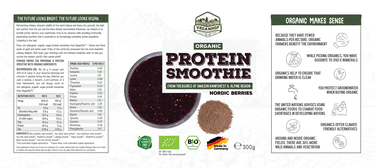 Protein smoothie nordic berries